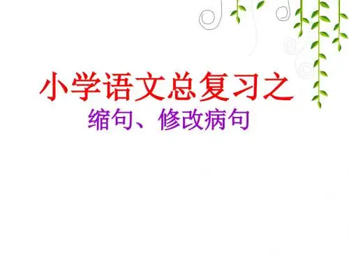 小学语文总复习缩句、病句