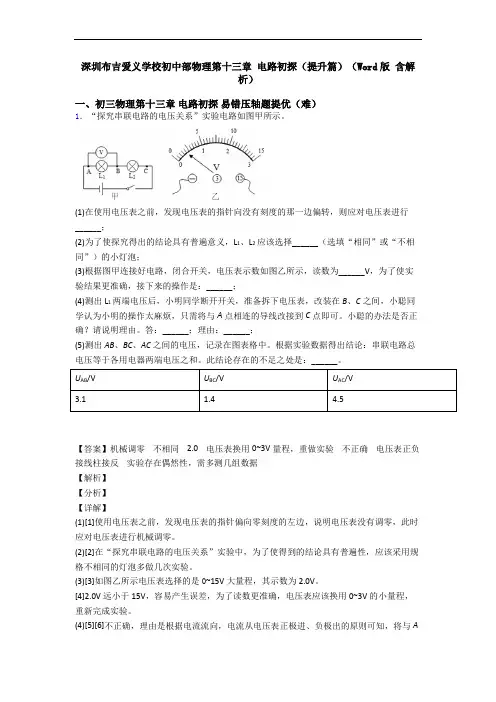 深圳布吉爱义学校初中部物理第十三章 电路初探(提升篇)(Word版 含解析)