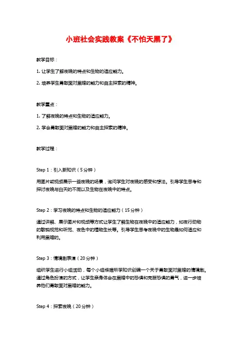 小班社会实践教案《不怕天黑了》 (2)