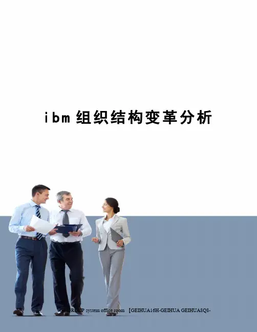 ibm组织结构变革分析精修订