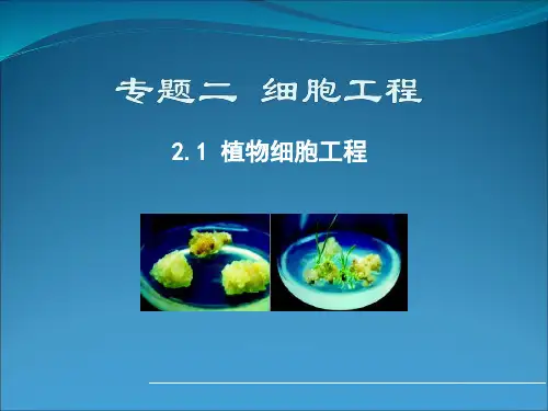 人教版高中生物选修三教学课件 2.1 植物细胞工程