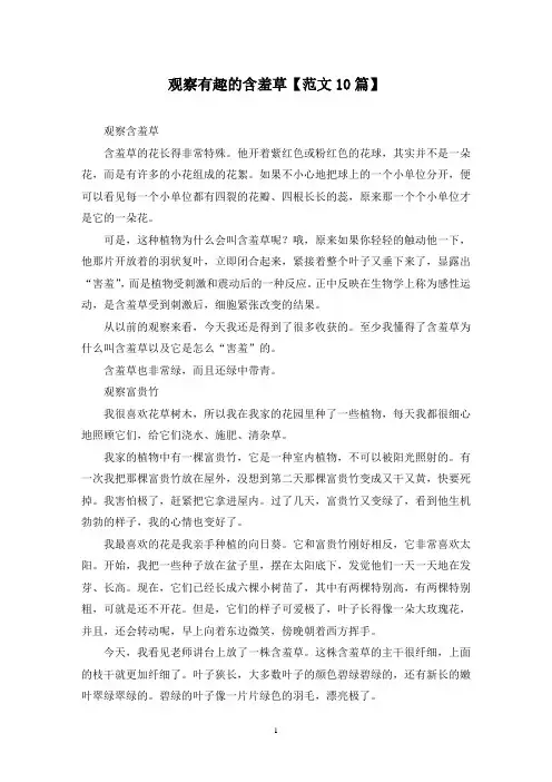 精选观察有趣的含羞草【范文10篇】