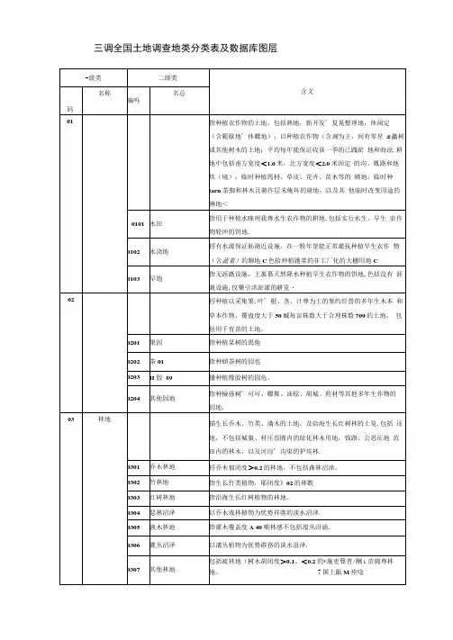 三调全国土地调查地类分类表及数据库图层-三调分类标准