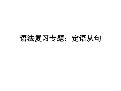 语法复习专题：定语从句