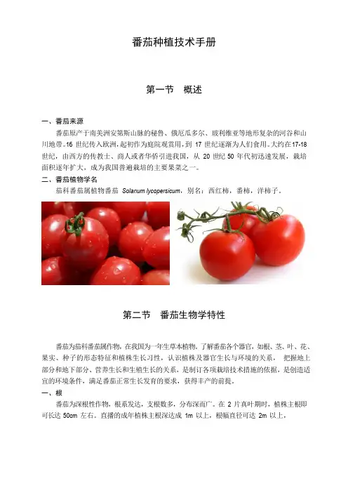 番茄种植技术手册