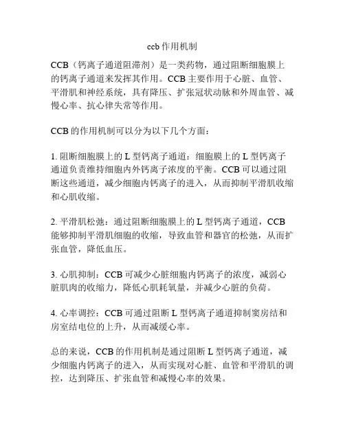 ccb作用机制