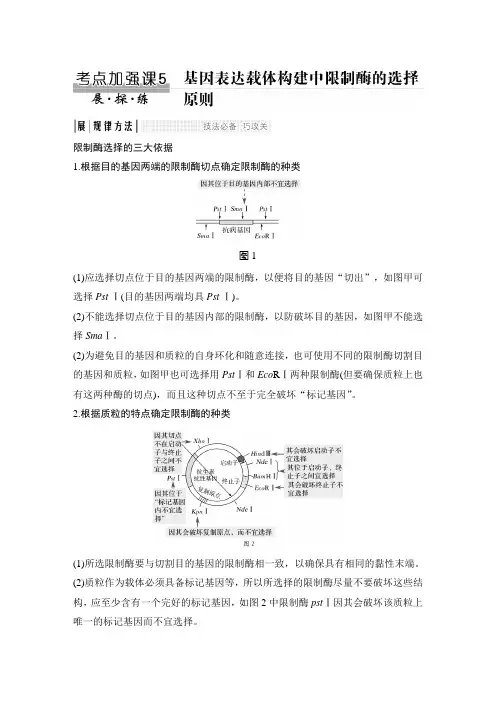 考点加强课5限制酶选择的三大依据