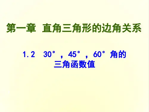 北师大版九年级下册数学：1. 2 30°,45°,60°角的三角函数值 (共14张PPT)