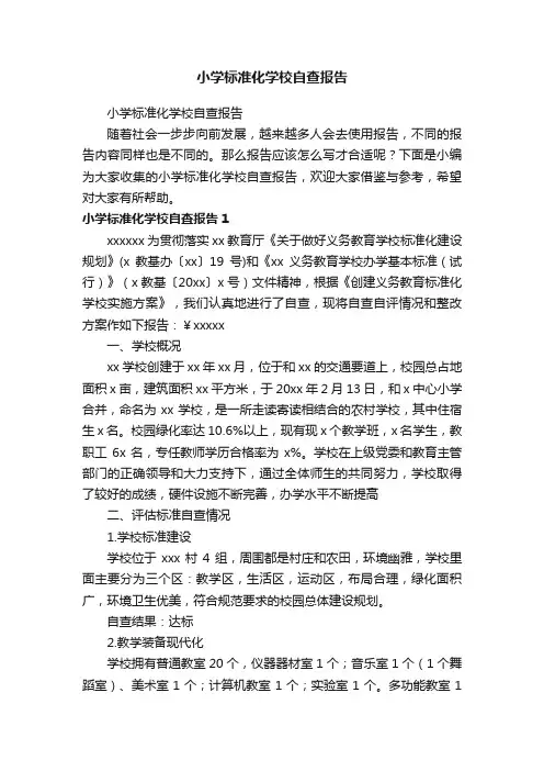 小学标准化学校自查报告