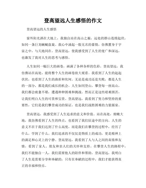 登高望远人生感悟的作文