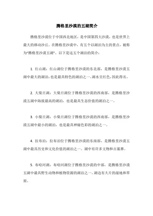 腾格里沙漠的五湖简介