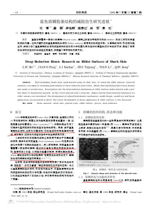 !鲨鱼盾鳞肋条结构的减阻仿生研究进展