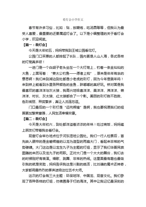 看灯会小学作文_作文300字_小学作文_
