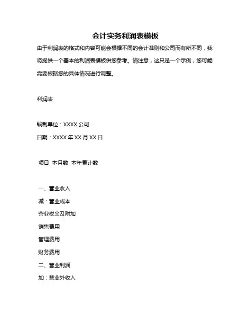 会计实务利润表模板
