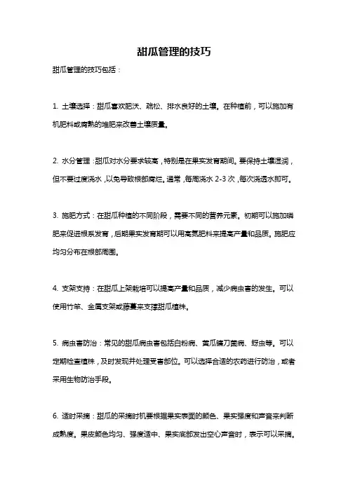 甜瓜管理的技巧