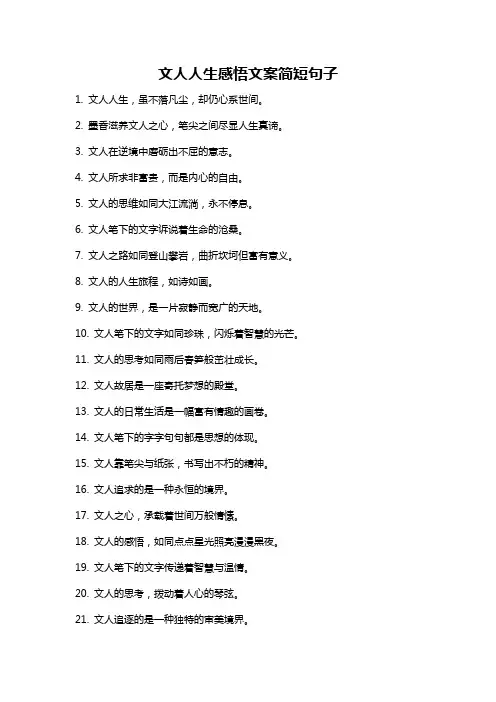 文人人生感悟文案简短句子