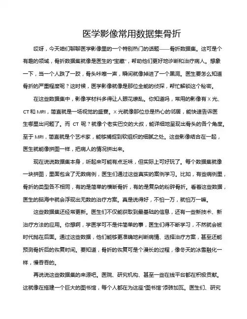 医学影像常用数据集骨折