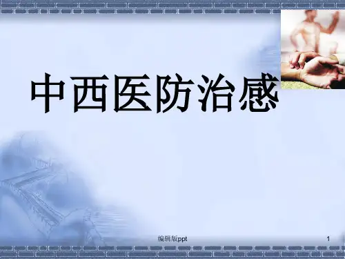 中西医防治流感精品课件