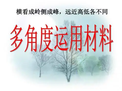 高中作文多角度运用材料 PPT课件