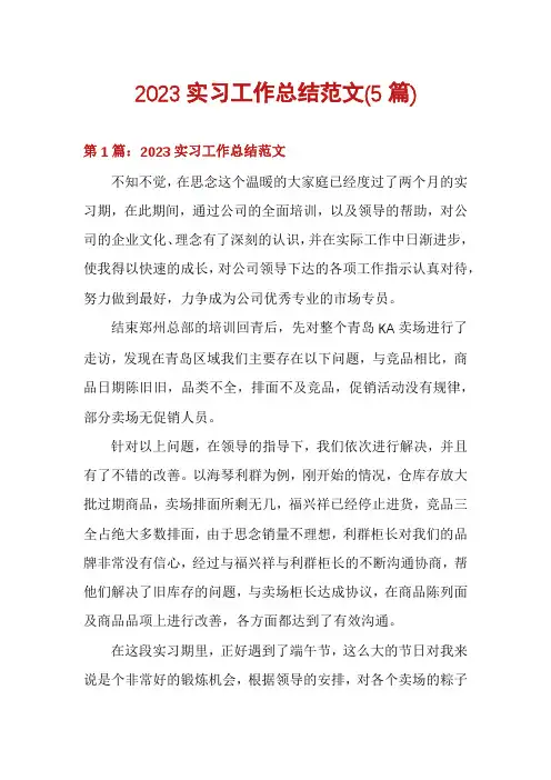2023实习工作总结范文(5篇)