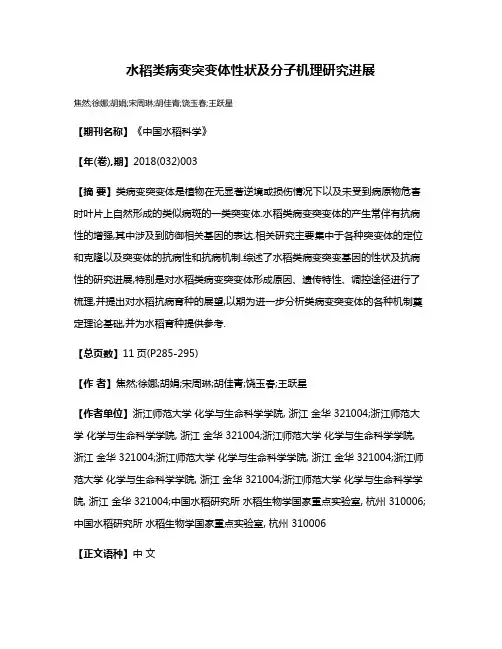 水稻类病变突变体性状及分子机理研究进展