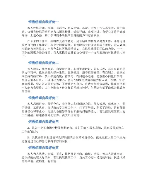 销售经理自我评价短