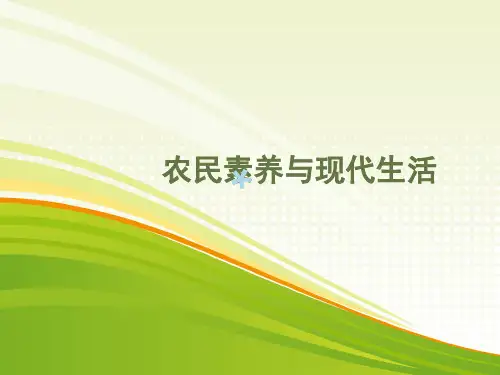 农民素养与现代生活