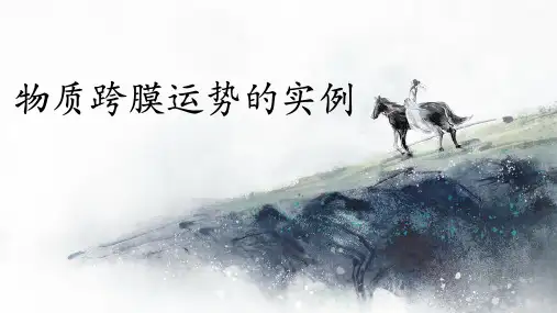 4.1 物质跨膜运输的实例 课件 人教版高中生物必修一