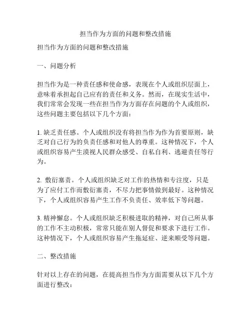 担当作为方面的问题和整改措施
