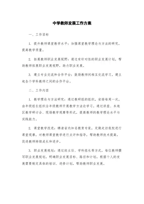 中学教师发展工作方案