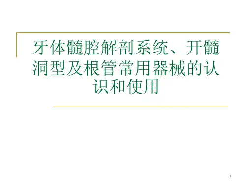 牙体髓腔解剖系统开髓PPT精选课件