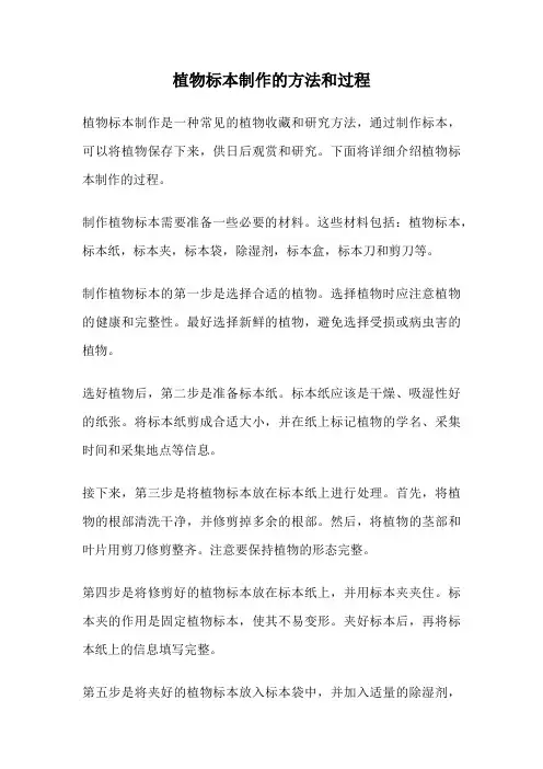 植物标本制作的方法和过程
