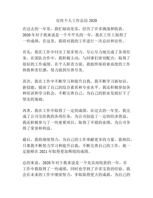 宣传个人工作总结2020