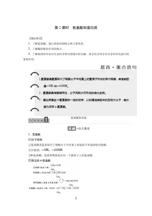高中化学有机物 官能团与有机化学反应、烃的衍生物 第5节 氨基酸和蛋白质