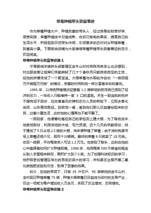 草莓种植带头致富事迹