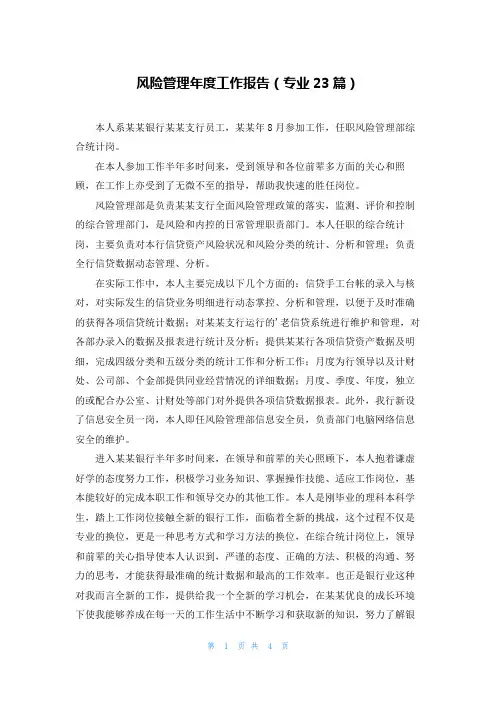 风险管理年度工作报告(专业23篇)
