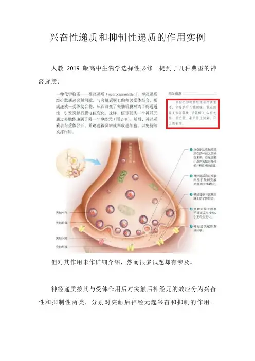 兴奋性递质和抑制性递质的作用实例