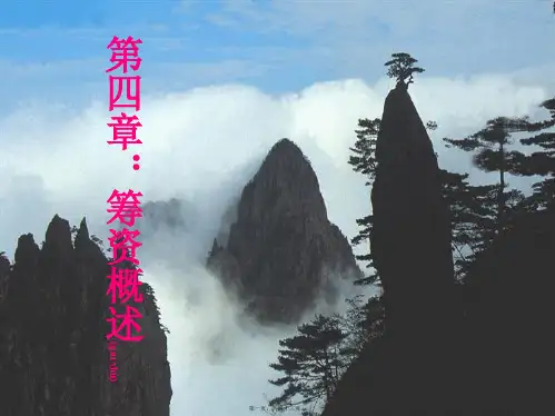 筹资概述(PPT)