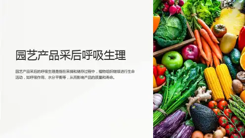 园艺产品采后呼吸生理