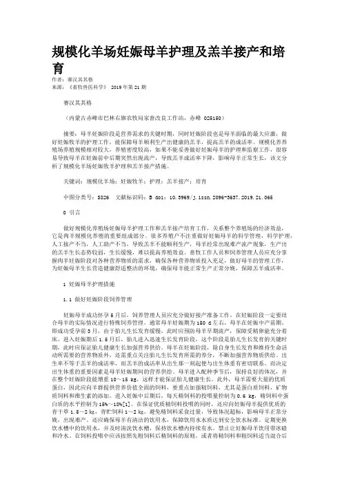 规模化羊场妊娠母羊护理及羔羊接产和培育