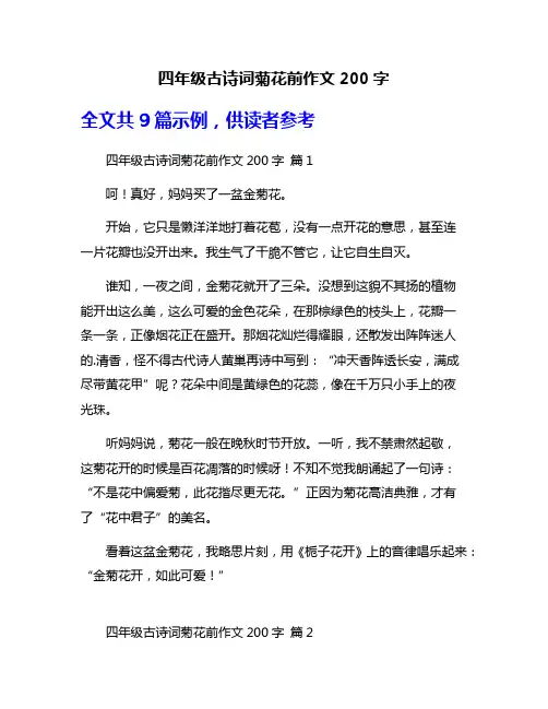 四年级古诗词菊花前作文200字