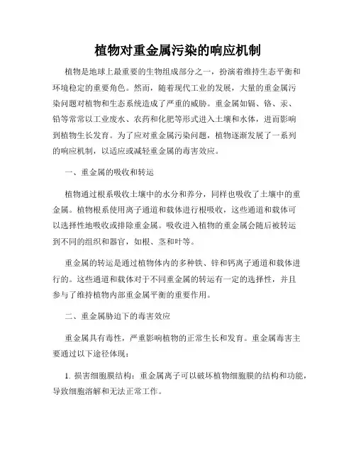植物对重金属污染的响应机制