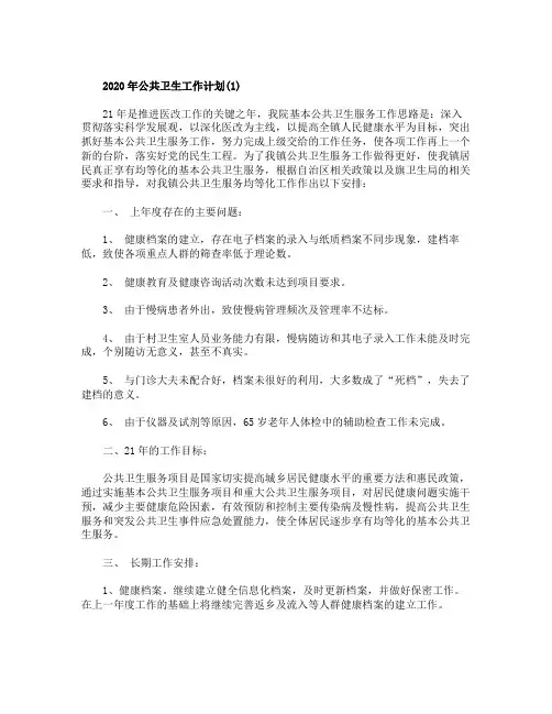 2020年公共卫生工作计划5篇