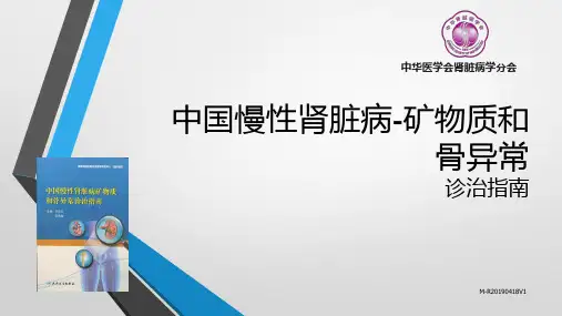 CKD-MBD中国指南课件