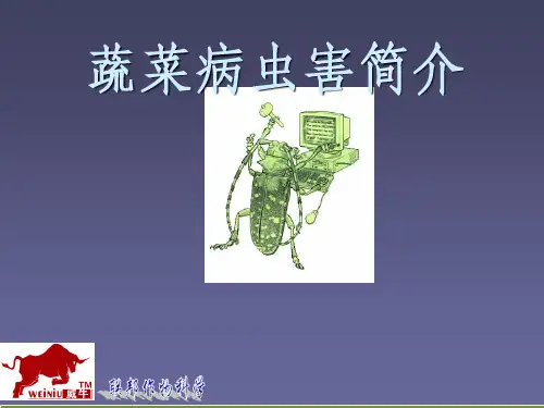 最全蔬菜病虫害ppt课件