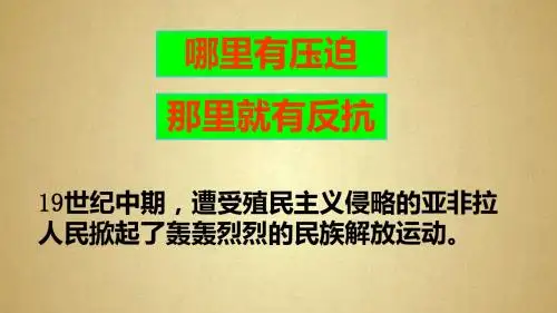 【历史】部编人教版九年级下册：第1课殖民地人民的反抗斗争精品课件(1)