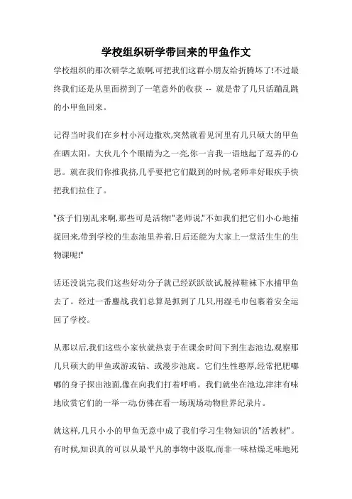 学校组织研学带回来的甲鱼作文