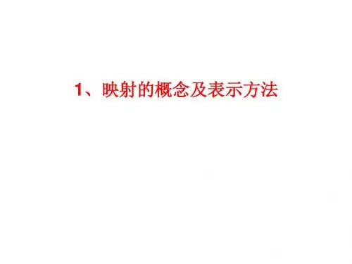 必修1映射