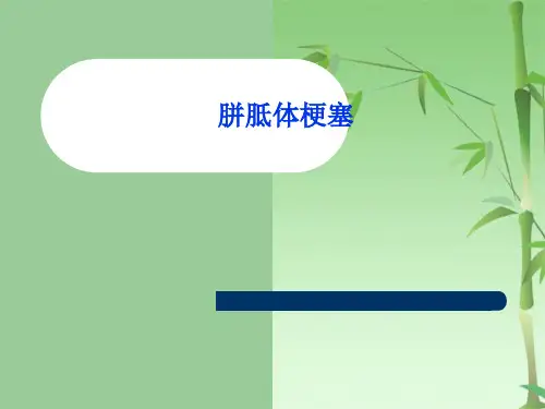 胼胝体梗塞(共18张PPT)