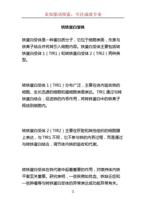转铁蛋白受体